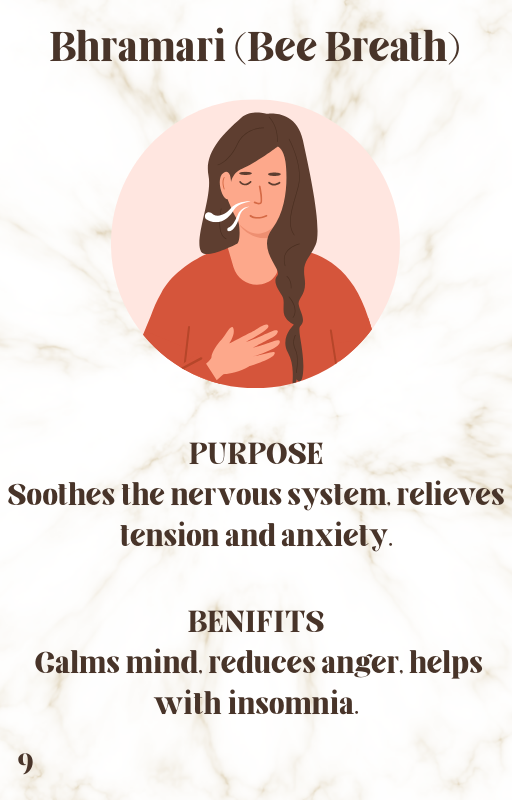 The Language of Breath: Exploring Yoga’s Breathing Styles in PDF instant download