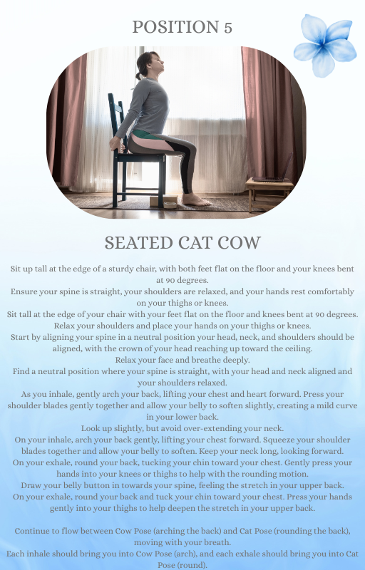 Chair Yoga: Instant Download - Gentle Seated Yoga Routine