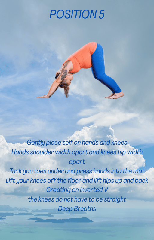 Pregnancy Yoga Bundle - 2 Complete Guides for Safe Practice