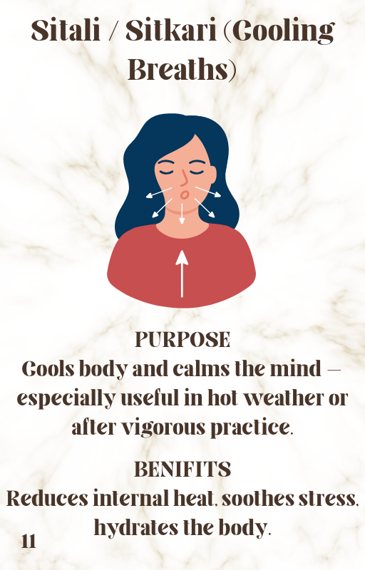 The Language of Breath: Exploring Yoga’s Breathing Styles in PDF instant download