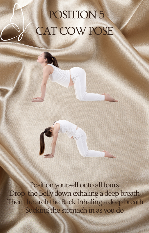Yoga for Beginners eBook – Easy At-Home PDF Guide for New Yogis