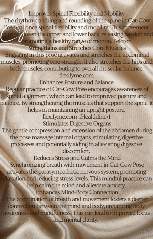 Yoga for Beginners eBook – Easy At-Home PDF Guide for New Yogis