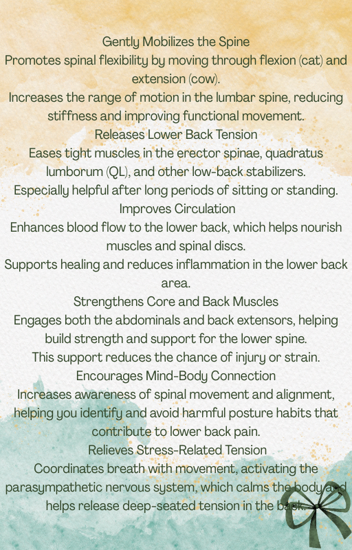 Ease that lower back pain with this easy to follow instant PDF yoga for lower back programme