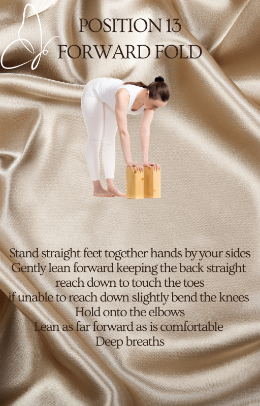 Yoga for Beginners eBook – Easy At-Home PDF Guide for New Yogis