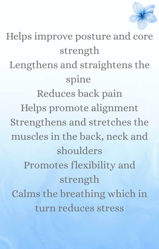 Chair Yoga: Instant Download - Gentle Seated Yoga Routine