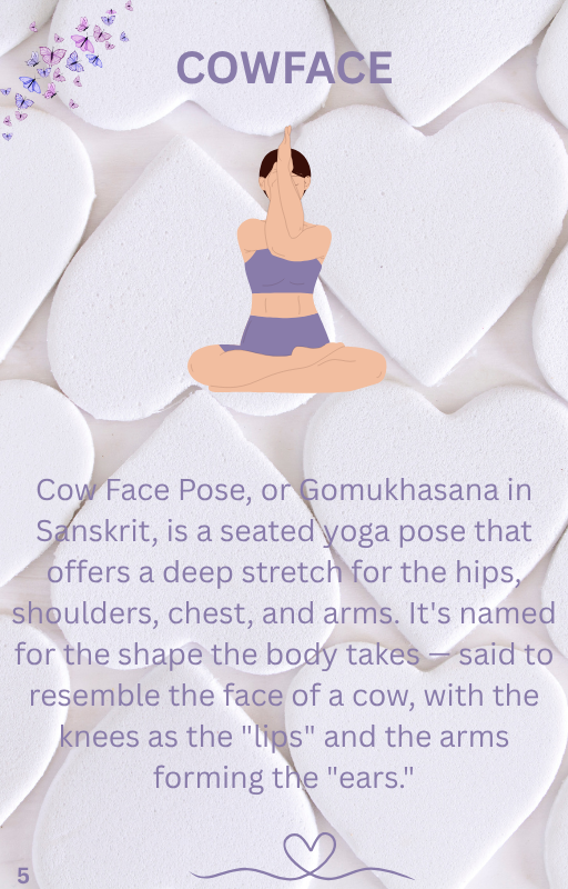 3 beginner yoga book special offer instant PDF Download