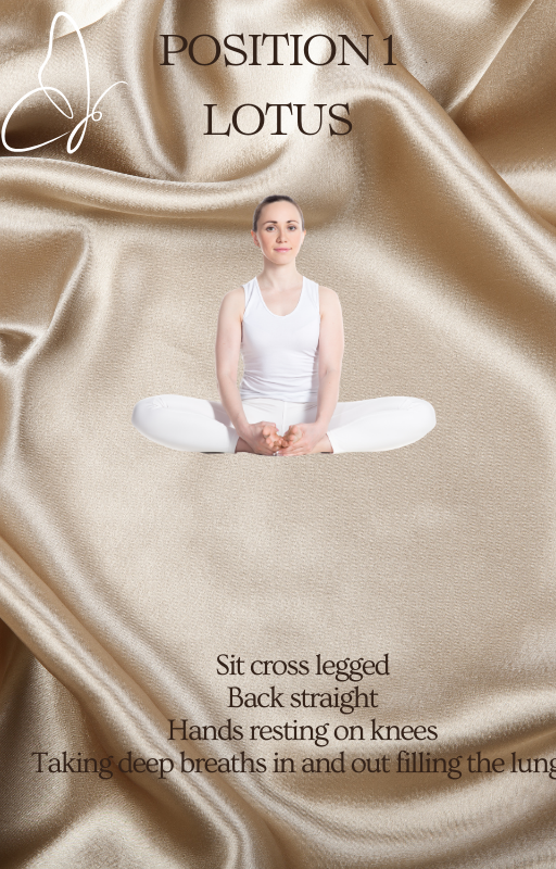 Yoga for Beginners eBook – Easy At-Home PDF Guide for New Yogis