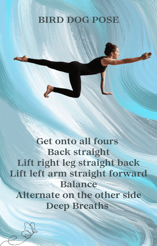Core Yoga eBook - Instant Download (PDF) instantly to strengthen your abs, improve posture, and practice at home. Start your transformation!”