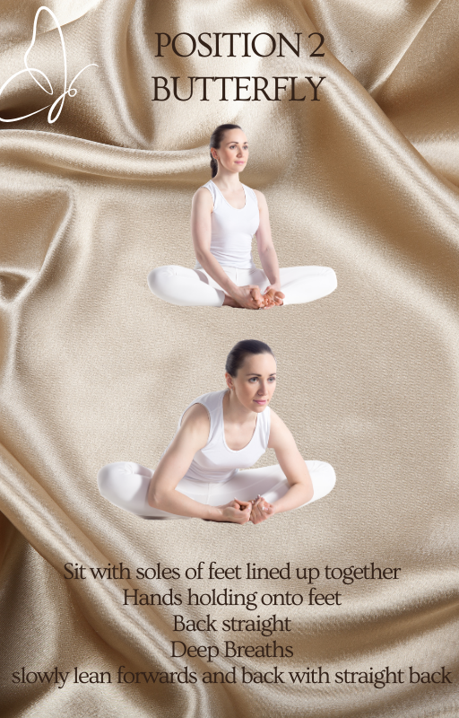 Yoga for Beginners eBook – Easy At-Home PDF Guide for New Yogis