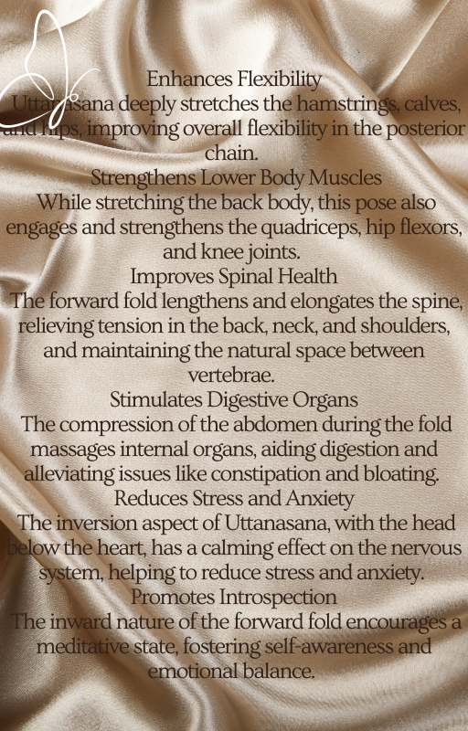3 beginner yoga book special offer instant PDF Download